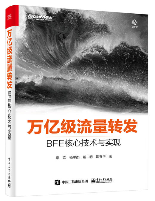 万亿级流量转发：BFE核心技术与实现 商品图0