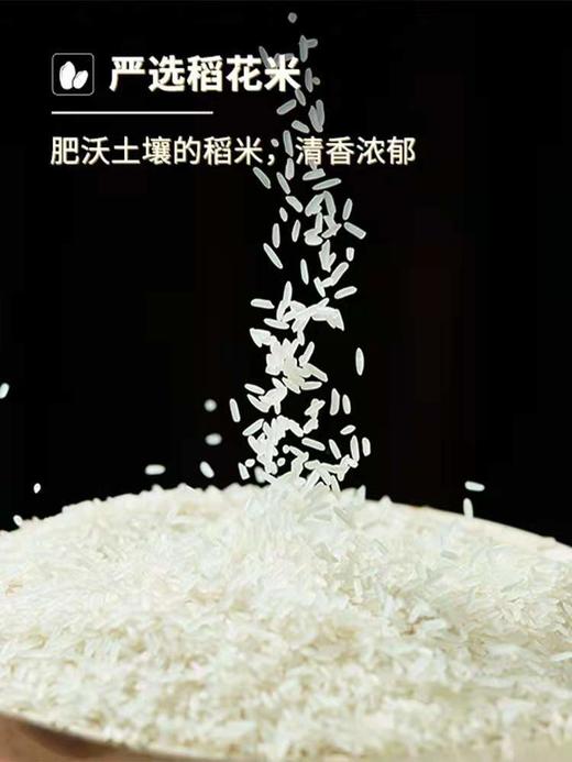 莫小仙自热煲仔饭 商品图2