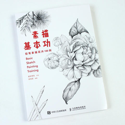 素描基本功 铅笔素描花卉100例 商品图5