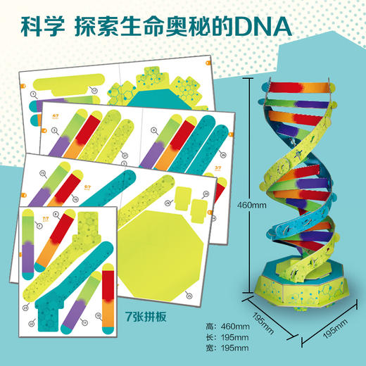 【思维训练】STEM儿童科学探索玩具书 以时间线为轴 带领孩子领略人类社会的发展大事件 商品图4