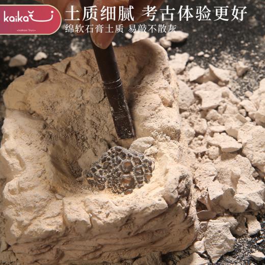 新凯纳恐龙化石秦始皇兵马俑考古挖掘玩具盲盒探索恐龙蛋骨架拼装益智儿童礼物 商品图4