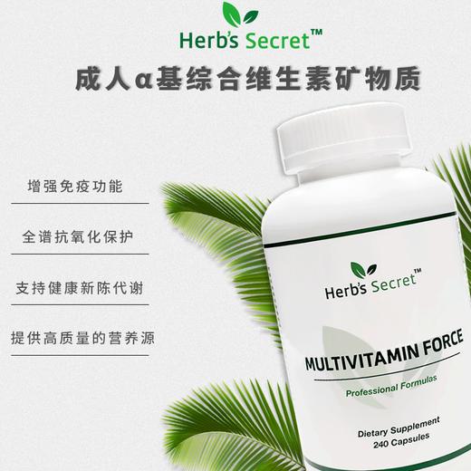 Herb’s secret 成人α基综合维生素矿物质 240粒 缓压 补脑 商品图0