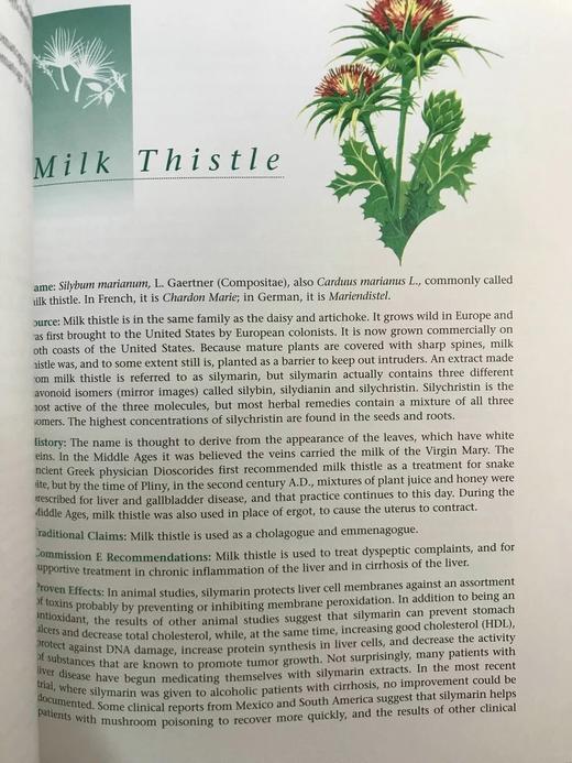 草药指南 约70幅插图 精装大16开 商品图10