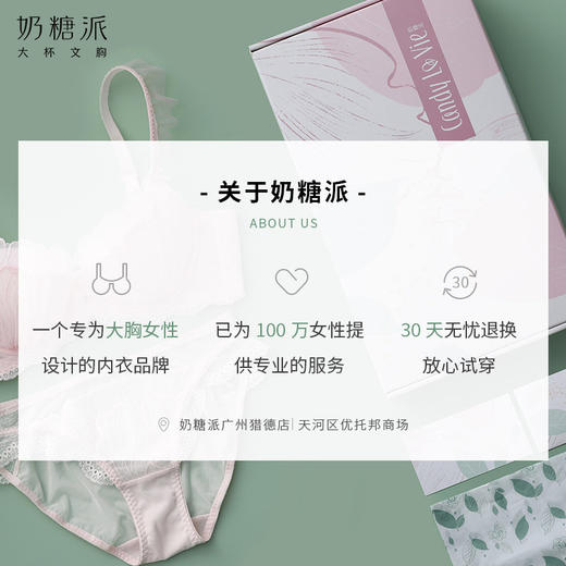 大罩杯秘密花园秋冬刺绣圆润饱满上托侧收透气大胸内衣女 商品图4