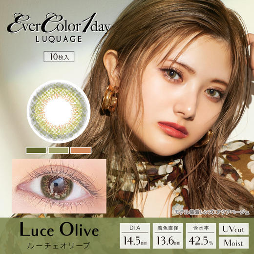 「上海保税仓发货」Evercolor 日本美瞳 Luquage系列 日抛10片装 商品图11