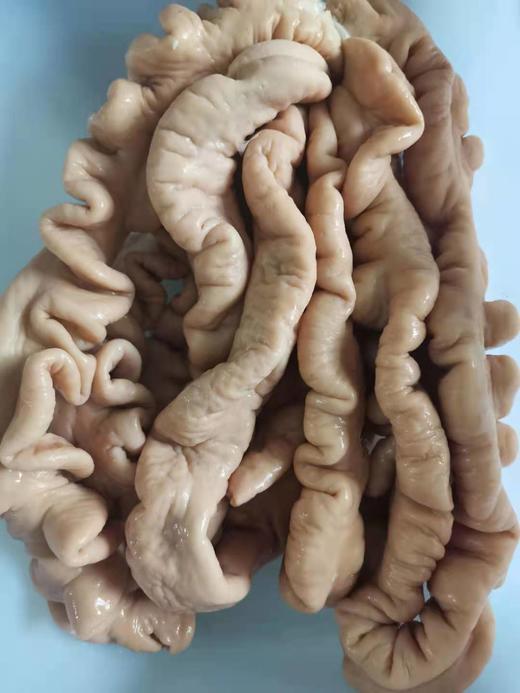 尝新价228元06斤新鲜熟食肥肠大肠