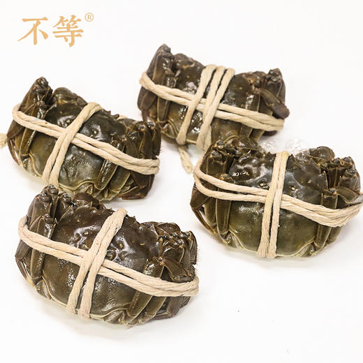 红膏大闸蟹   电子蟹卡  不等·丰子恺联名（大闸蟹提蟹发货时间：每年10.8-12.31、大师级：11月-12月底） 商品图3