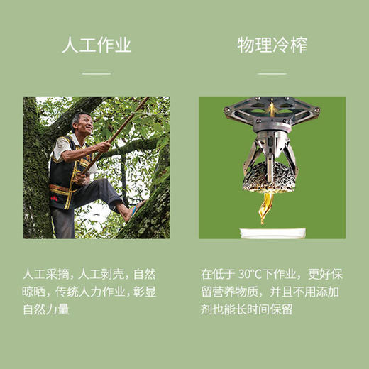 桂花甲牌野生核桃油100ml/盒 商品图3