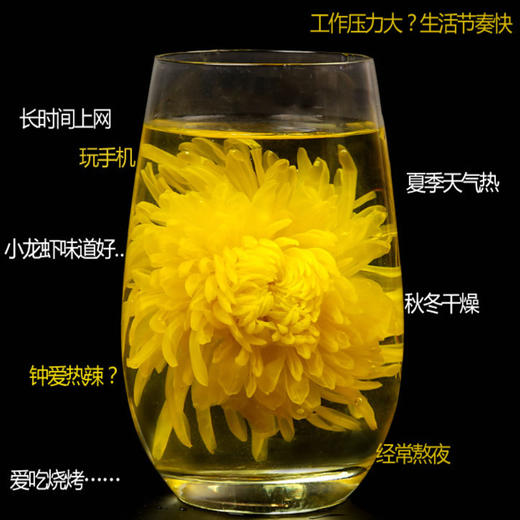 食予食牌金丝皇菊茶30g/瓶 商品图2