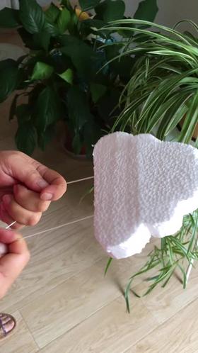 有趣的爬绳动物” 刘建明