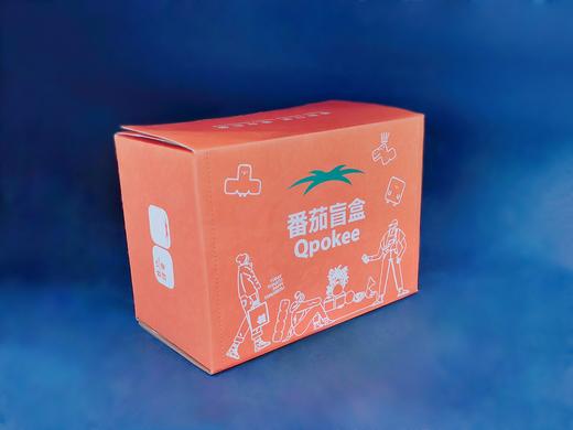 番茄盲盒 商品图3