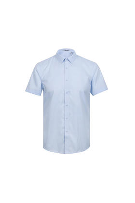 callisto纯棉男士短袖衬衫  SQSTS002X