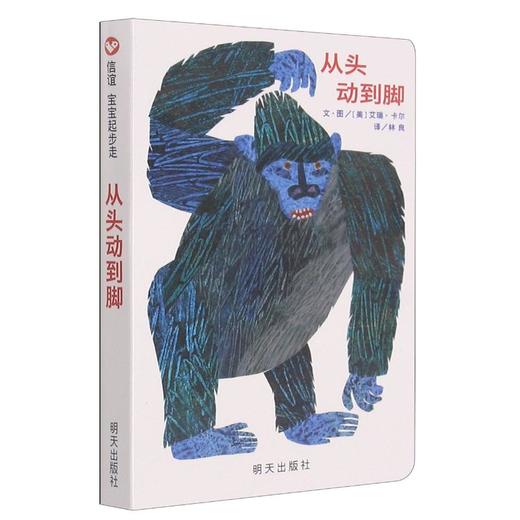 【0-6岁中文绘本】从头动到脚 商品图0