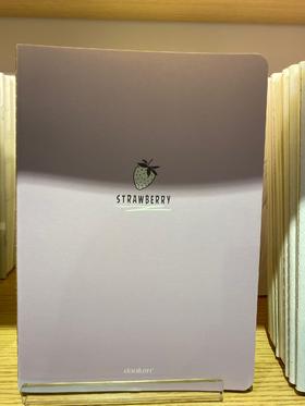 道林小调生活线装横线软抄本DL2867-A1646