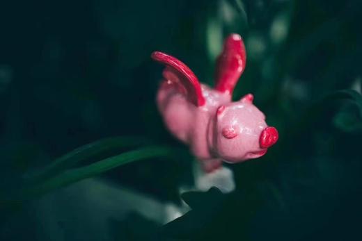 飞向幸福-小号-秦玮鸿 商品图2