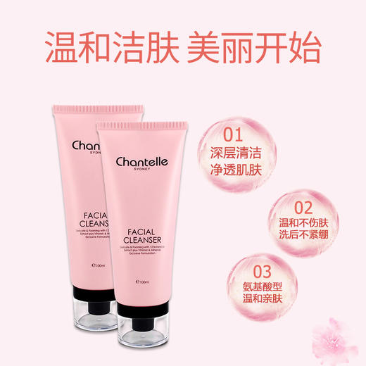 香娜露儿植物精华清透洁面凝露 100ml 商品图0