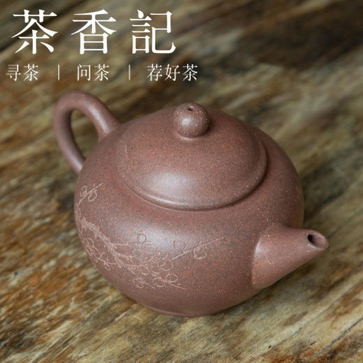 茶香记 台西矿底槽清 刻绘水平壶  兰、竹  经典器型  实用小壶 商品图1