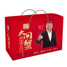 澄沁 阳澄湖 大闸蟹 礼盒装