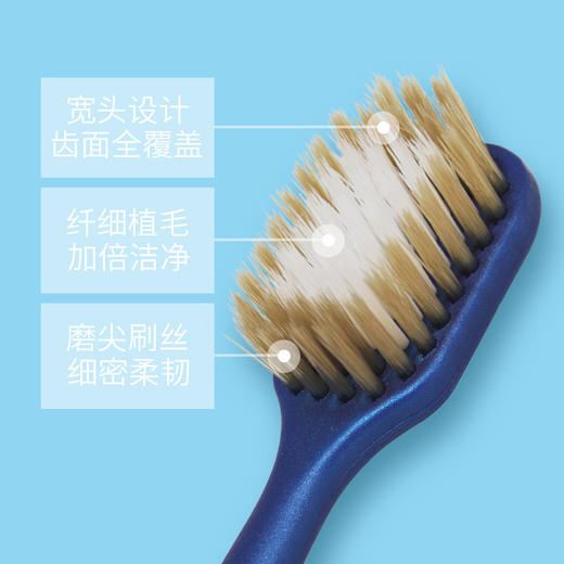 【中欧班列精选】 日本蜜梨品牌MATLEE炫洁超细软毛牙刷 1只装 商品图3