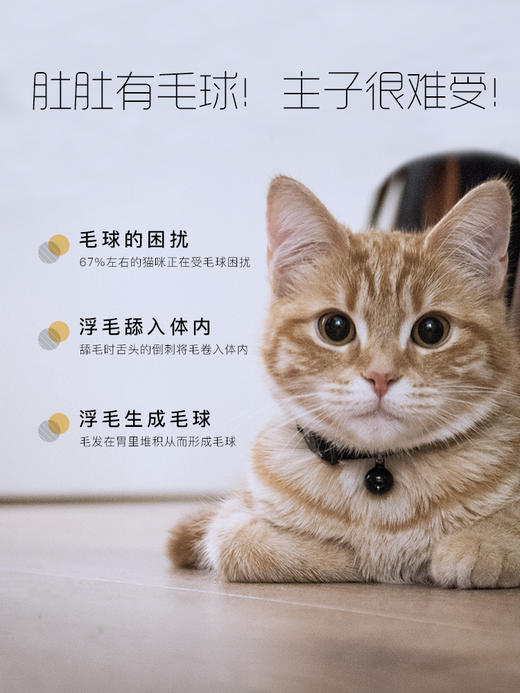 新宠之康 猫咪专用化毛营养膏125g 商品图1