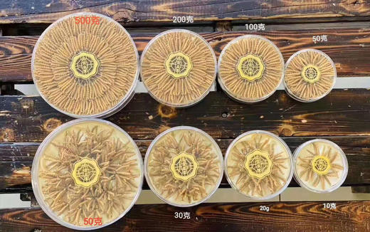 【青藏高海拔干草】冬虫夏草，礼盒装&家庭装 商品图10