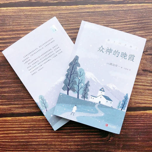众神的晚霞 渡边淳一 著 外国现当代文学小说 失乐园复乐园 对人性的深刻剖析和对情感的真实披露 商品图2