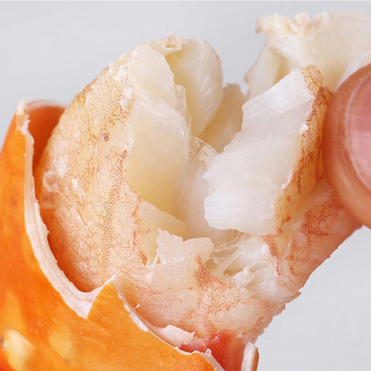 东山岛  鲜活野生红鲟 商品图5