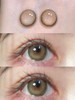 【白狮超推荐！】Leenscolor旗下 · 甜茶棕&墨子蓝 · 14.5mm中大直径 长期抛美瞳 商品缩略图1