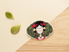 北京仓｜Manitas De Plata-Frida-弗里达 大胸针［西班牙设计师］ 商品缩略图0