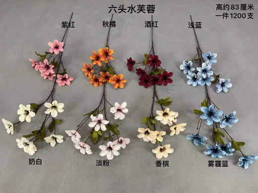 六头水芙蓉【运费自理】 商品图0