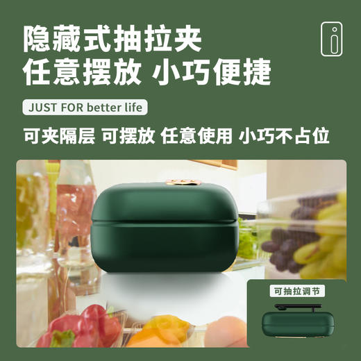 【买二送一】爆款冰箱除味器 鞋柜厕所卫士除味 臭氧除臭空气净化器 去异味神器 商品图6