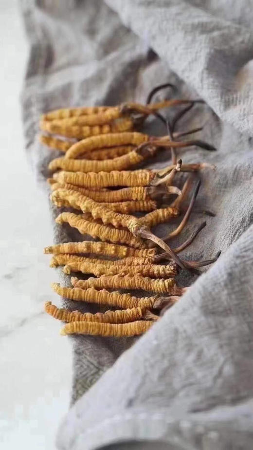 【青藏高海拔干草】冬虫夏草，礼盒装&家庭装 商品图11