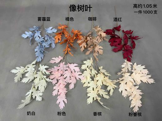 橡树叶【运费自理】 商品图0