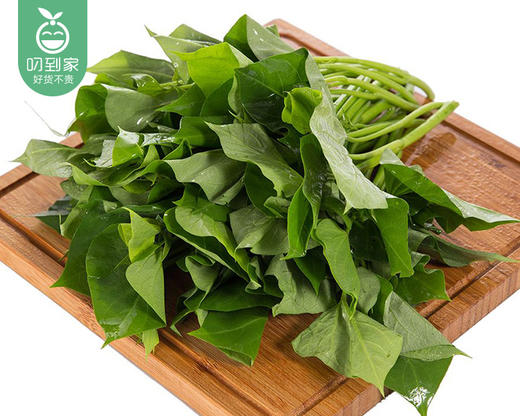 【叼鲜蔬】诺誉庄园新鲜地瓜叶/1份（约350g） 商品图3
