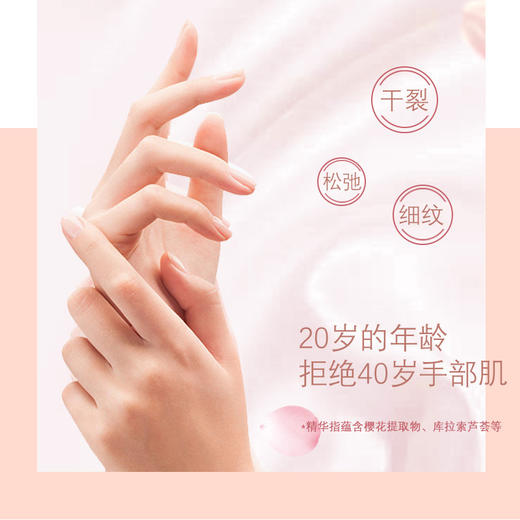 NOVO 樱花牛奶倍润亮肤护手霜 水润柔嫩保湿补水滋润随身小巧手部护理60g【效期为2025.12.28】 商品图3