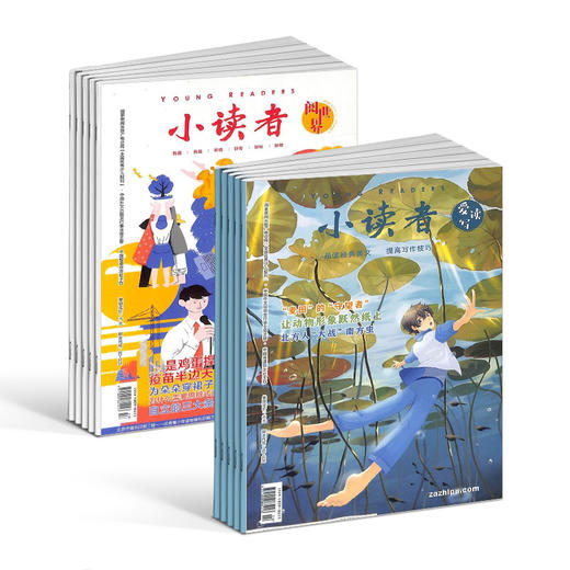 包邮 小读者爱读写+小读者阅世界杂志组合  全年订阅共24期 小学生儿童文学8-14岁少儿课外阅读书籍 商品图2