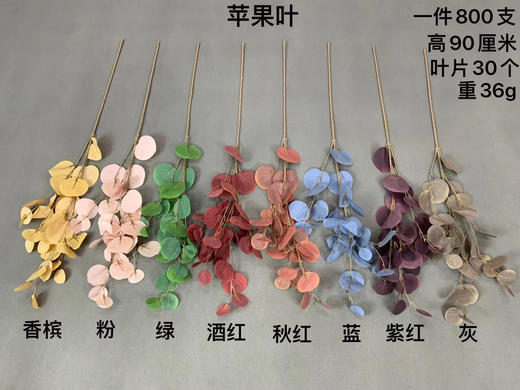 苹果叶【运费自理】 商品图0