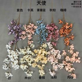 天使【运费自理】