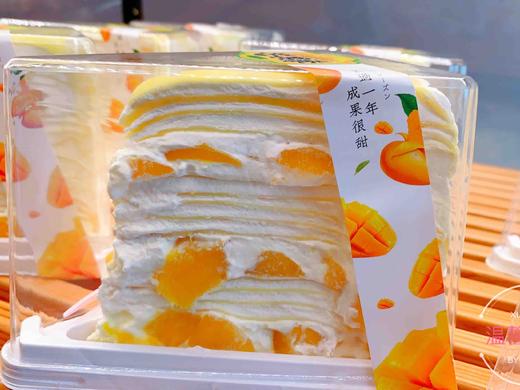 芒果千层 商品图1