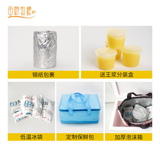 【2025新浆】青之藏蜂王浆田野牧蜂青海高原直采高活性鲜王浆蜜蜂蜂皇浆 商品图5