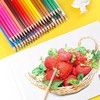 晨光24色彩铅PP筒装AWP34305绘画笔彩笔儿童学生画画笔手绘 商品缩略图2