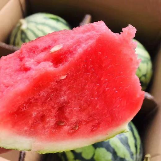 【麒麟西瓜】7斤/个 ，清热解暑、瓜瓤脆嫩 商品图3
