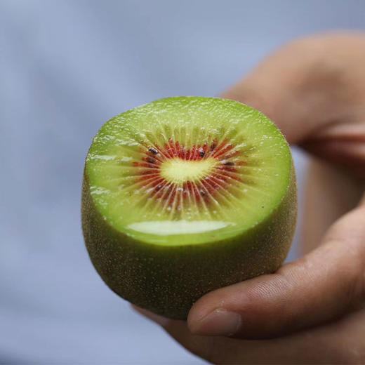 红颜小猕（红阳猕猴桃） 商品图1