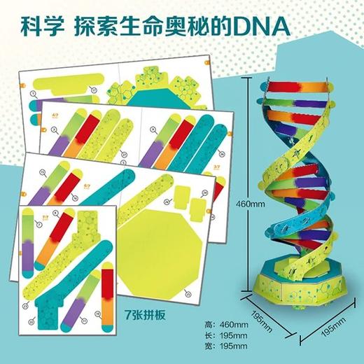 《STEM儿童科学探索玩具书（全4册）》像科学家一样去思考   像工程师一样去创造. 商品图4