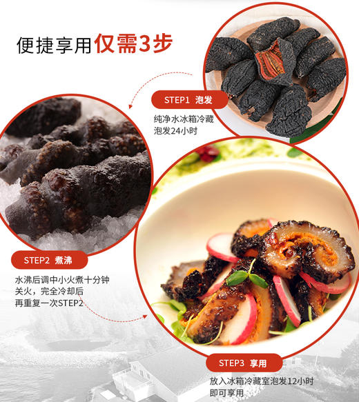 加拿大Costco野生淡干海参（1磅）ROSALYN 加拿大进口淡干海参开口参 商品图4