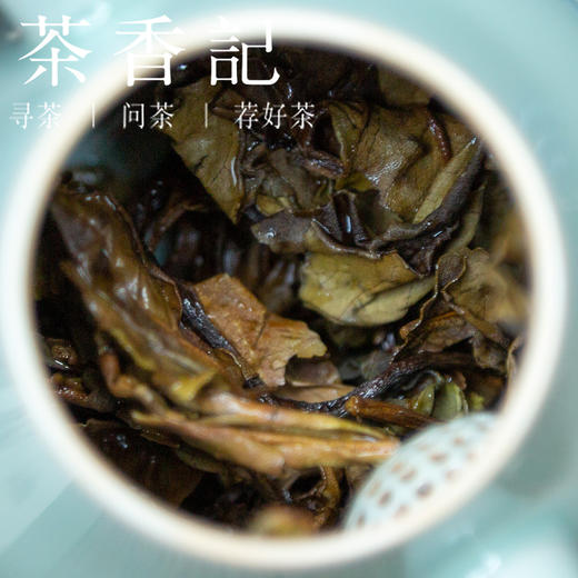 茶香记 悦己普洱生茶 原始森林野生茶树 工艺独特 红茶味 商品图4