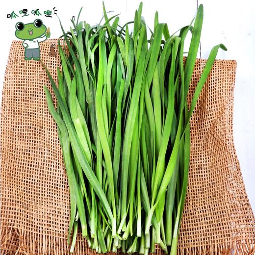 朴愿有机农场 自己种的有机韭菜 250g 商品图0