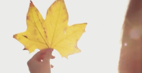  暑意尚存，立秋已至！是时候开始「滋阴润肺防秋燥」啦！ 