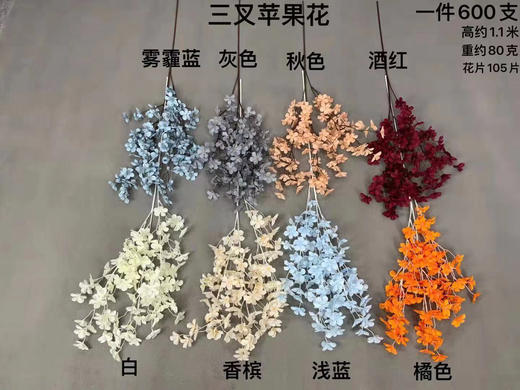 三叉苹果花【运费自理】 商品图0
