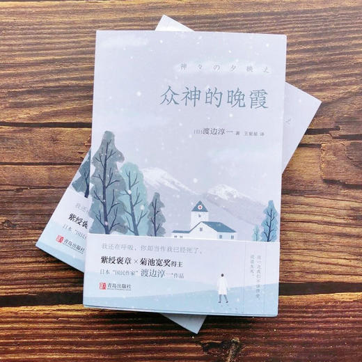 众神的晚霞 渡边淳一 著 外国现当代文学小说 失乐园复乐园 对人性的深刻剖析和对情感的真实披露 商品图3